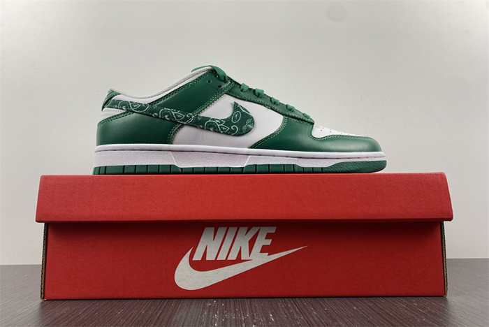 nike dunk low sb  dh4401-102
